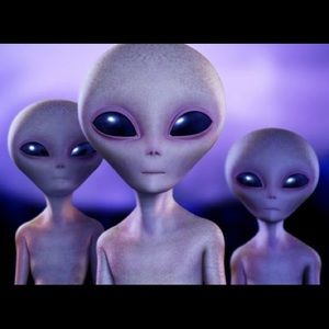 Meet your Posher, Angelica calderon